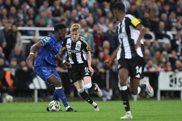 造了一个 造了一个