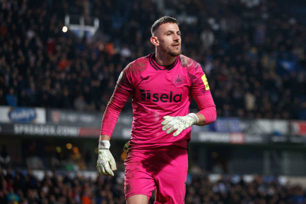 仅展示了皇 仅展示了皇