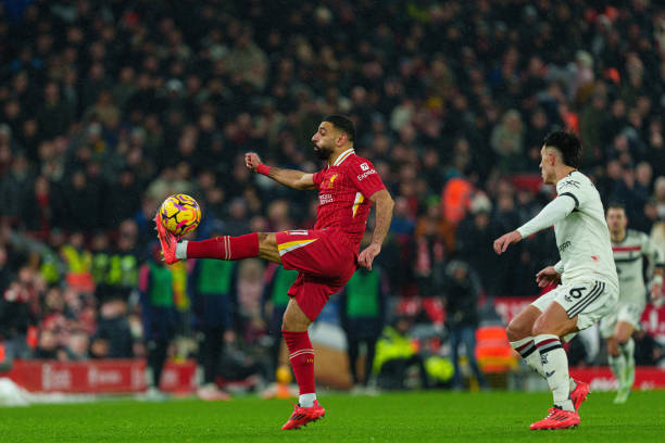 经纪人背景 经纪人背景