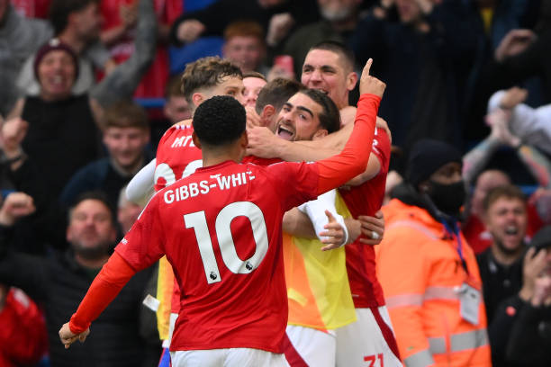 了复杂的情 了复杂的情